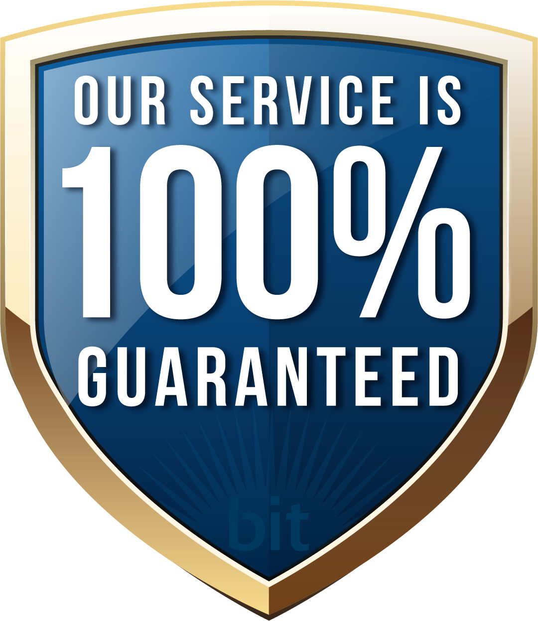 BIT Service is 100% Guaranteed